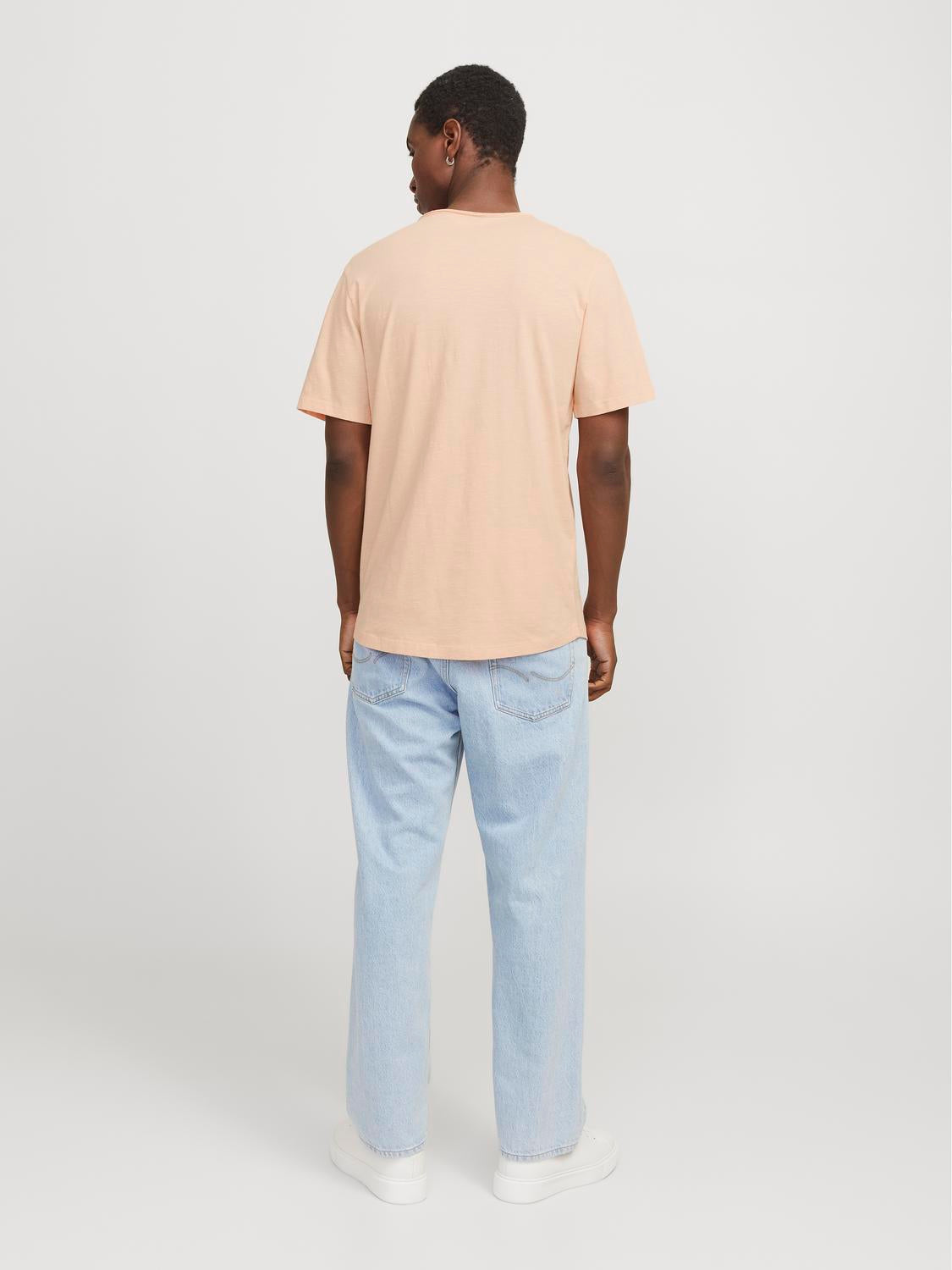 model_shot-back