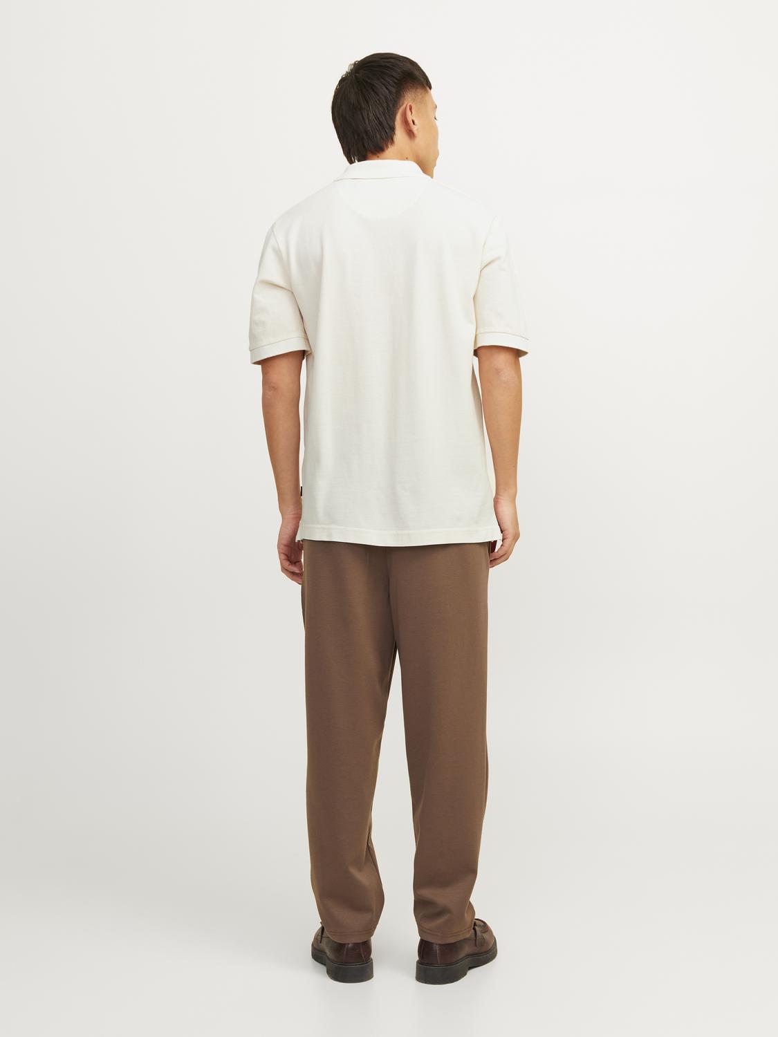 JPRCCWILLIAM Polo Shirt - Cloud Dancer