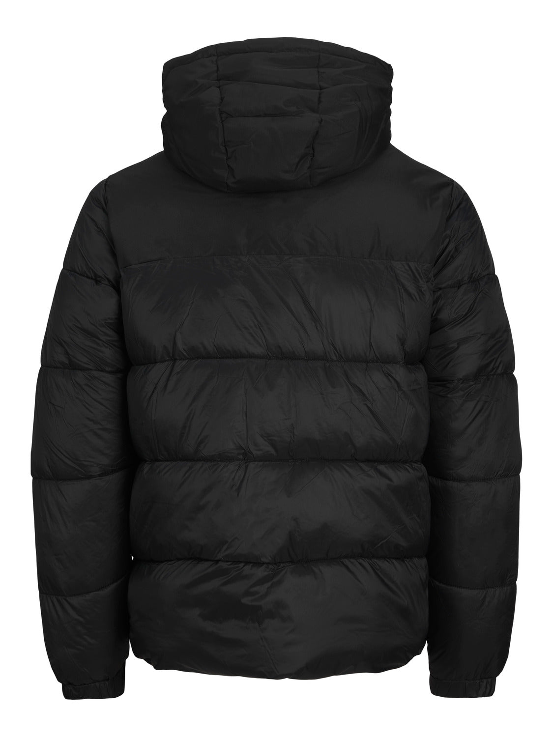 PlusSize JJETOBY Jacket - Black