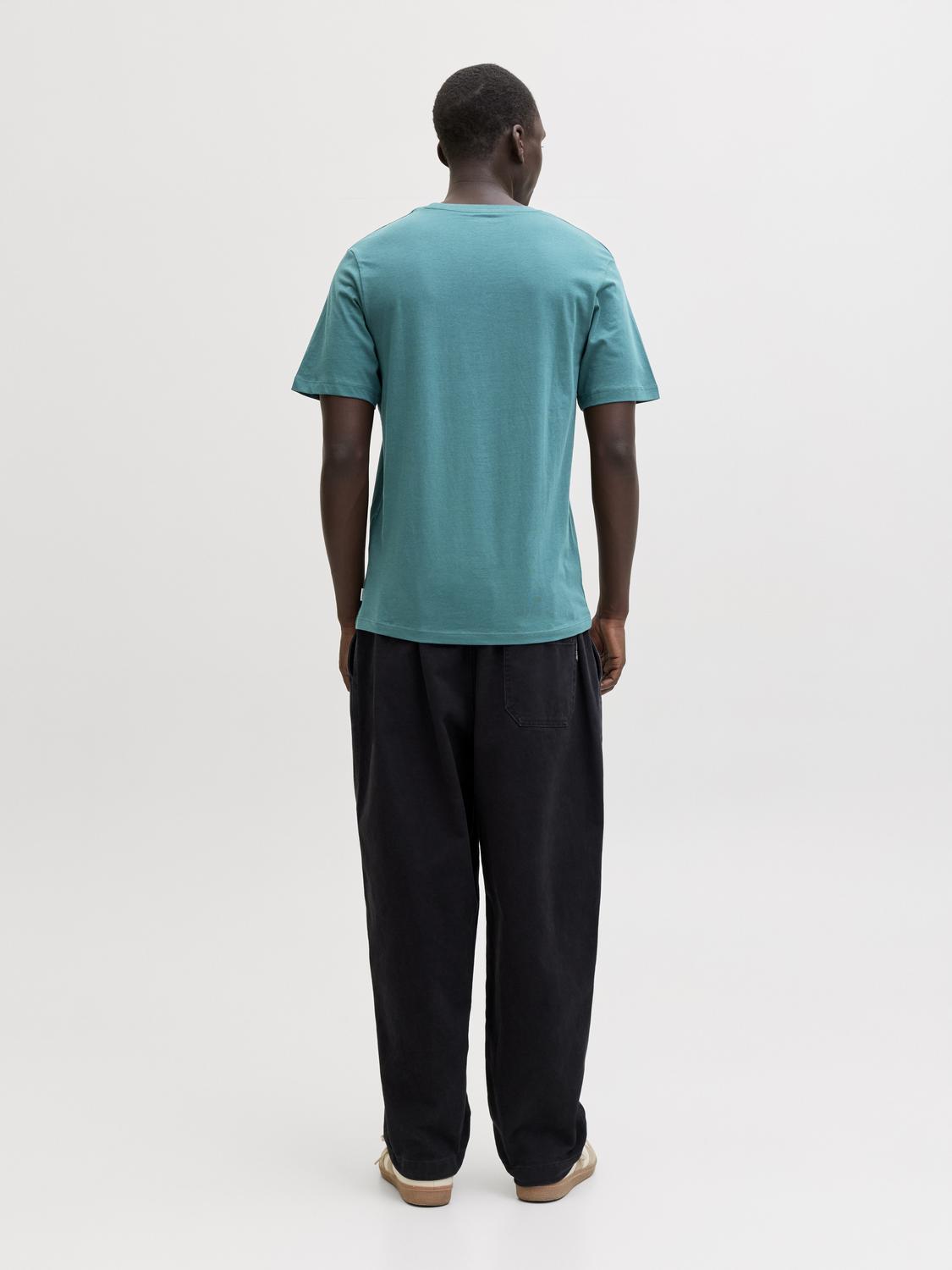 model_shot-back