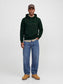 model_shot-front_full