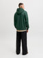 model_shot-back