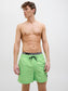 model_shot-creative