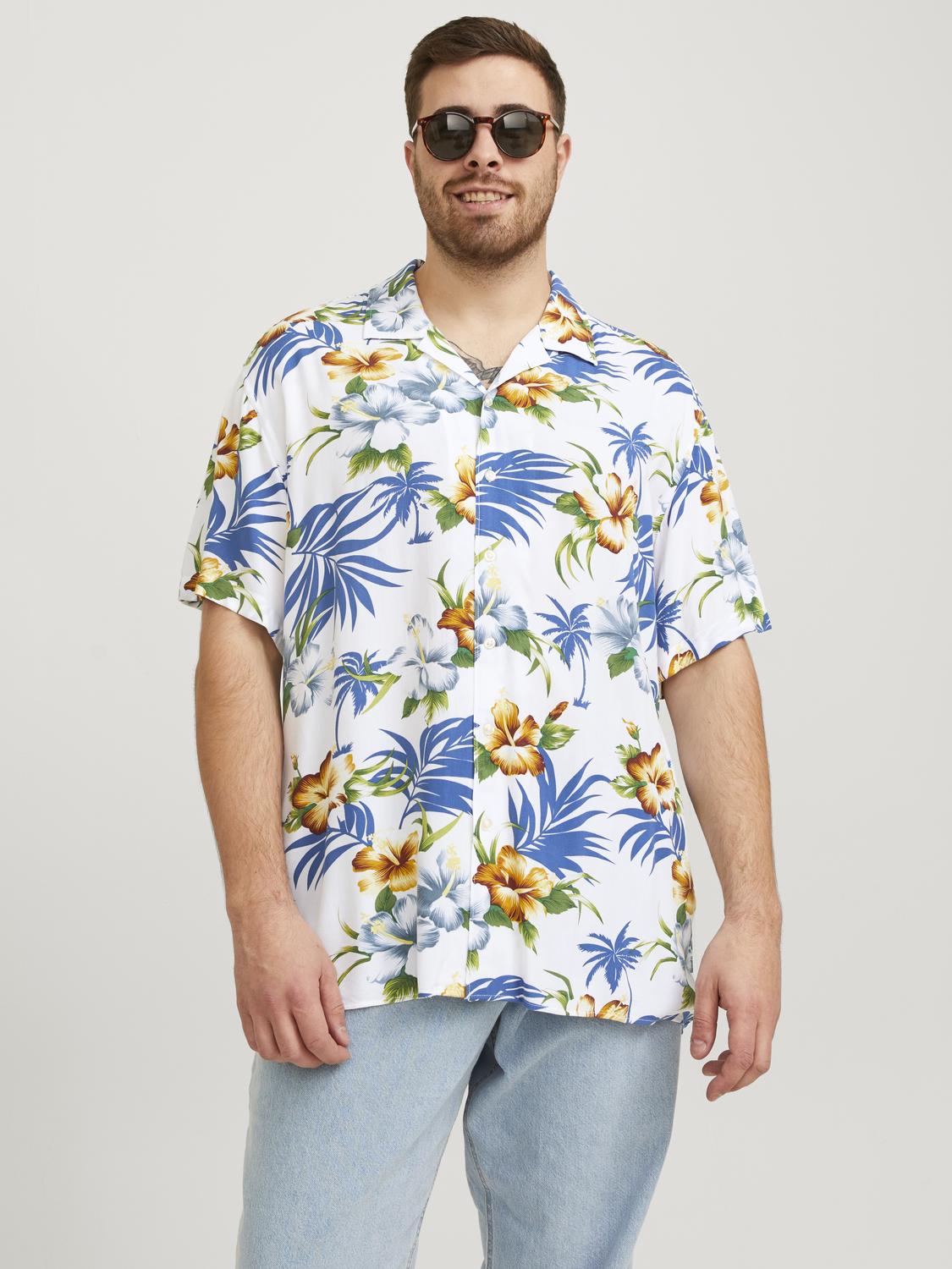 PlusSize JJEJEFF Shirts - Cloud Dancer