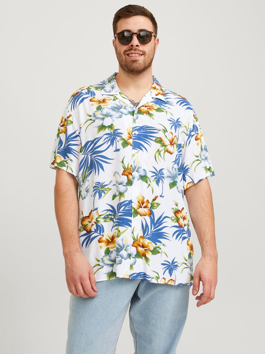 PlusSize JJEJEFF Shirts - Cloud Dancer