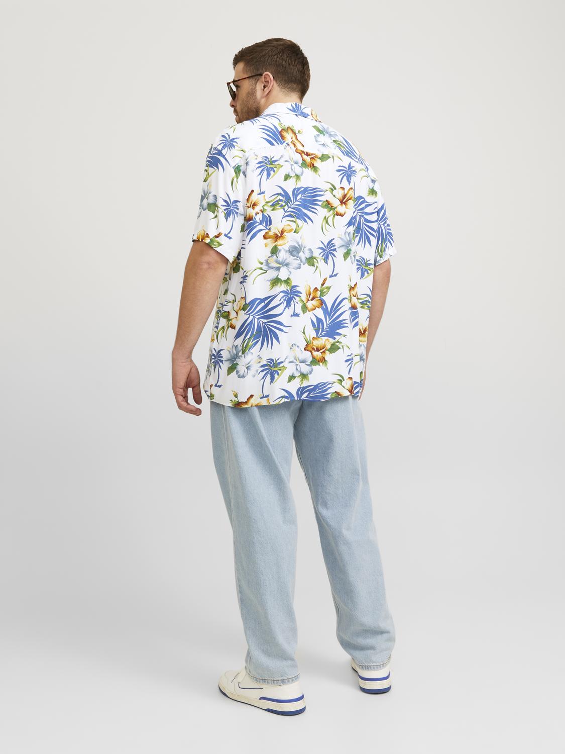 PlusSize JJEJEFF Shirts - Cloud Dancer