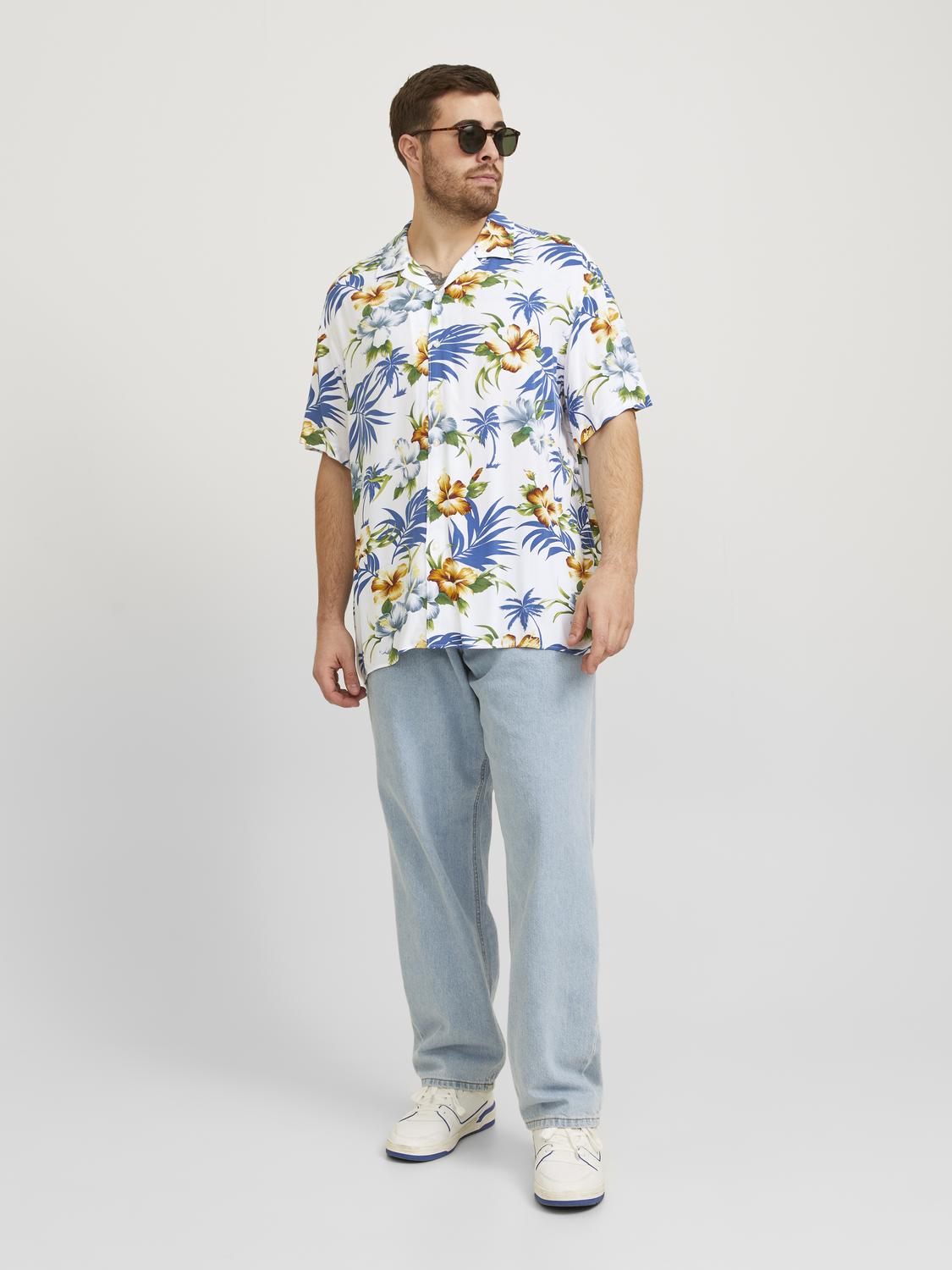 PlusSize JJEJEFF Shirts - Cloud Dancer