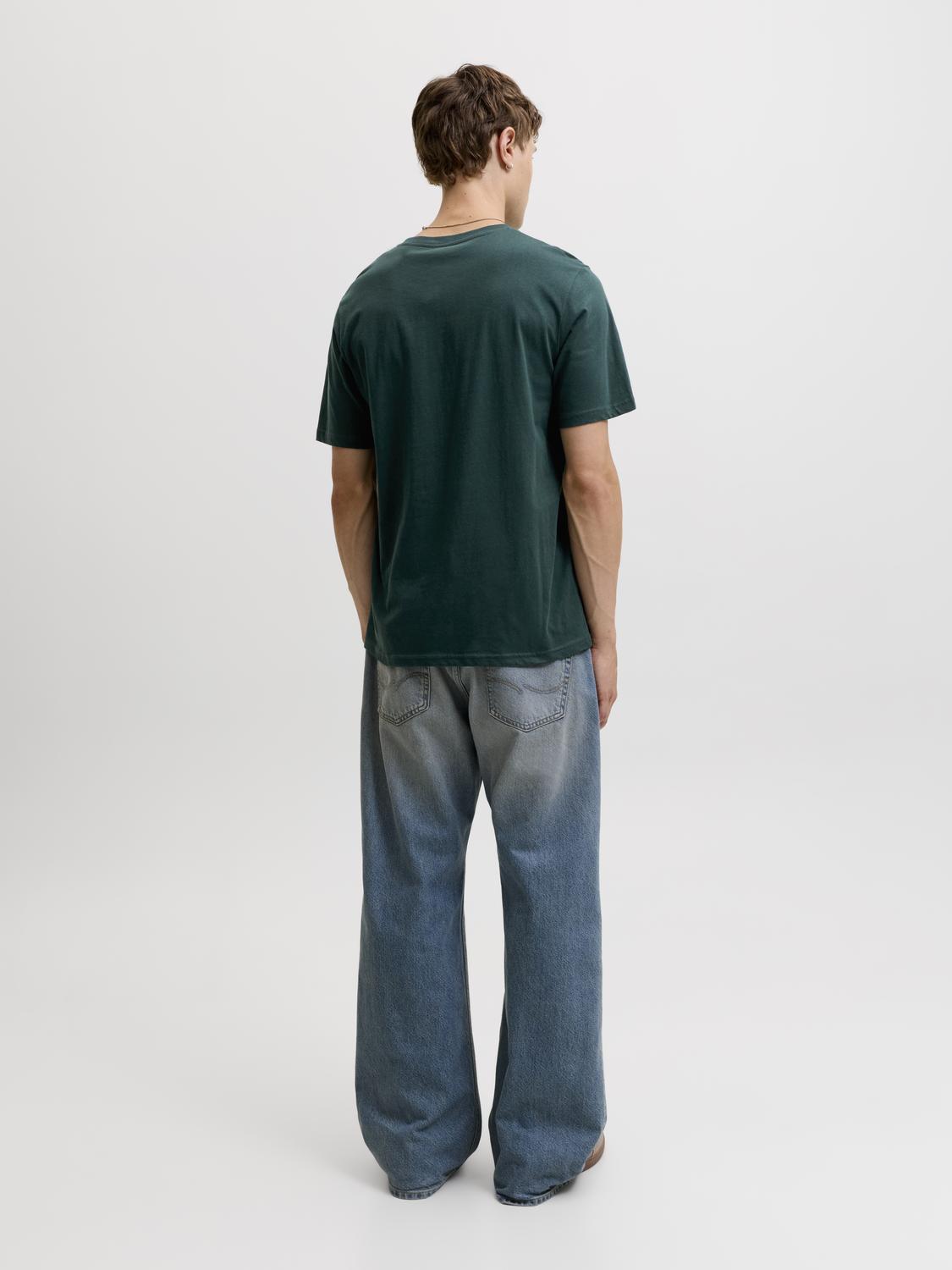 model_shot-back
