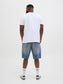 model_shot-back