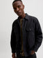 model_shot-creative