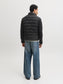 model_shot-back
