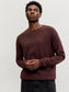 model_shot-creative