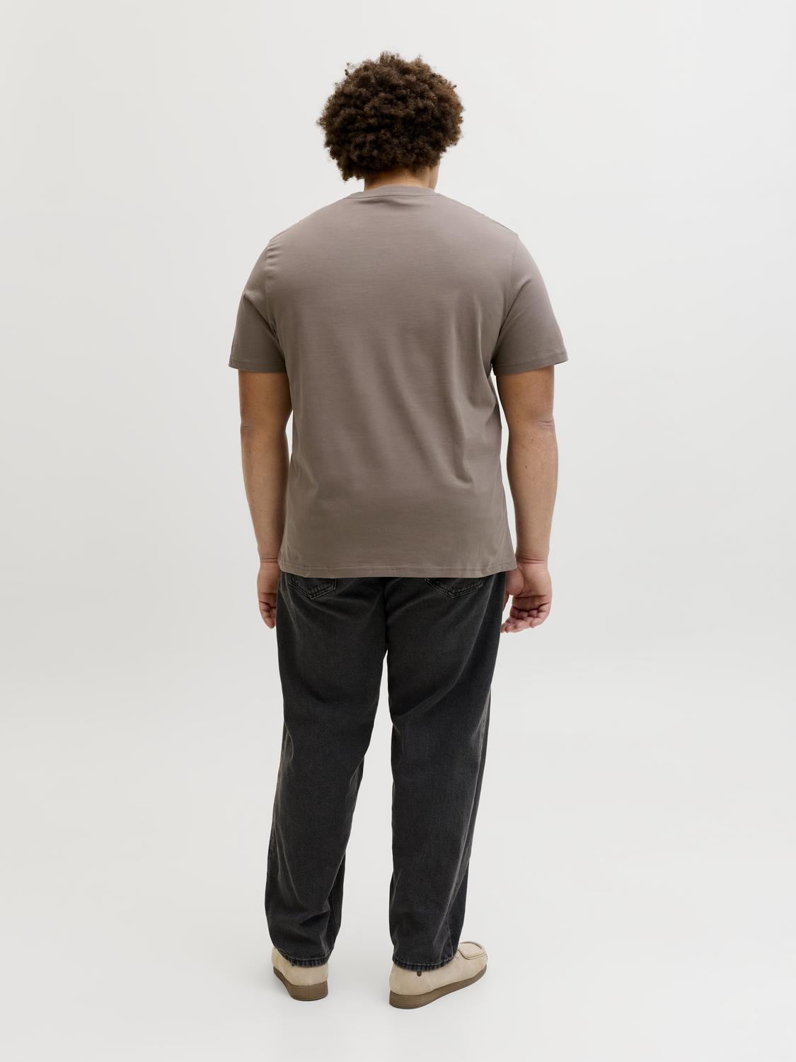 model_shot-back