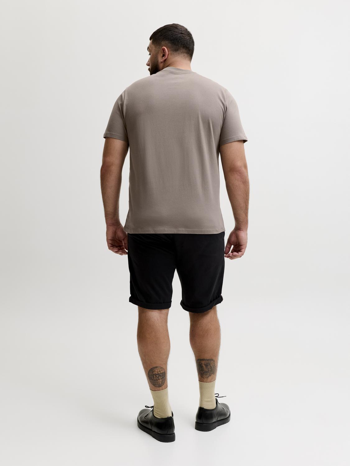model_shot-back