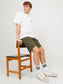 JPSTCOLE Shorts - Olive Night