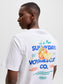 model_shot-creative