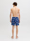 model_shot-back