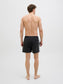 model_shot-back