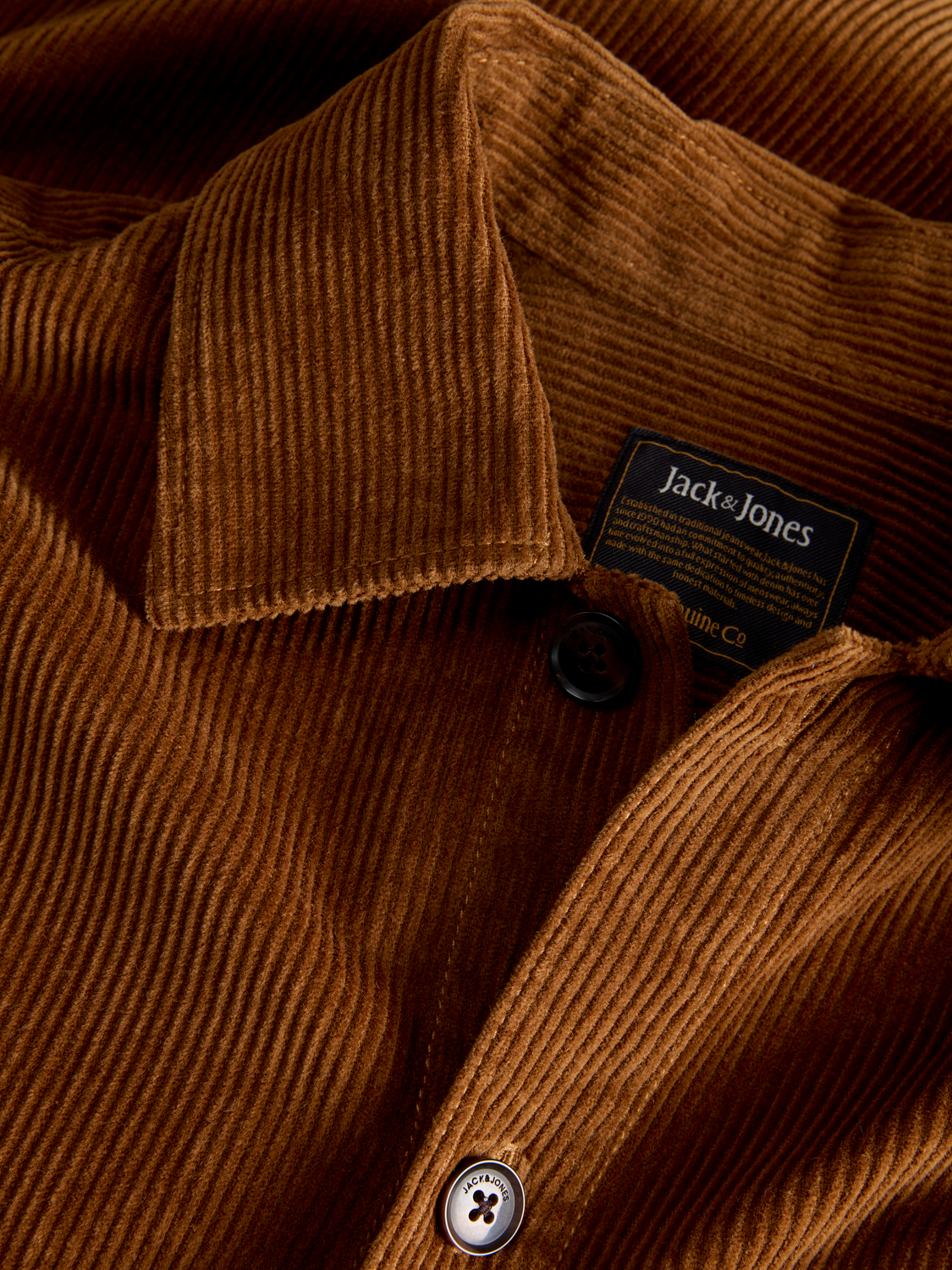 model_shot-detail