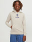 JJEBRADLEY Sweatshirt - Moonbeam