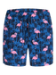 pack_shot-front