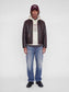 model_shot-front_full