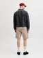 model_shot-back