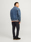 model_shot-back