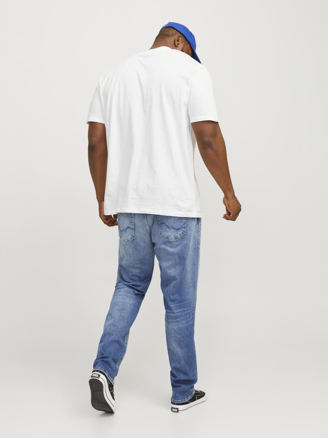 model_shot-back