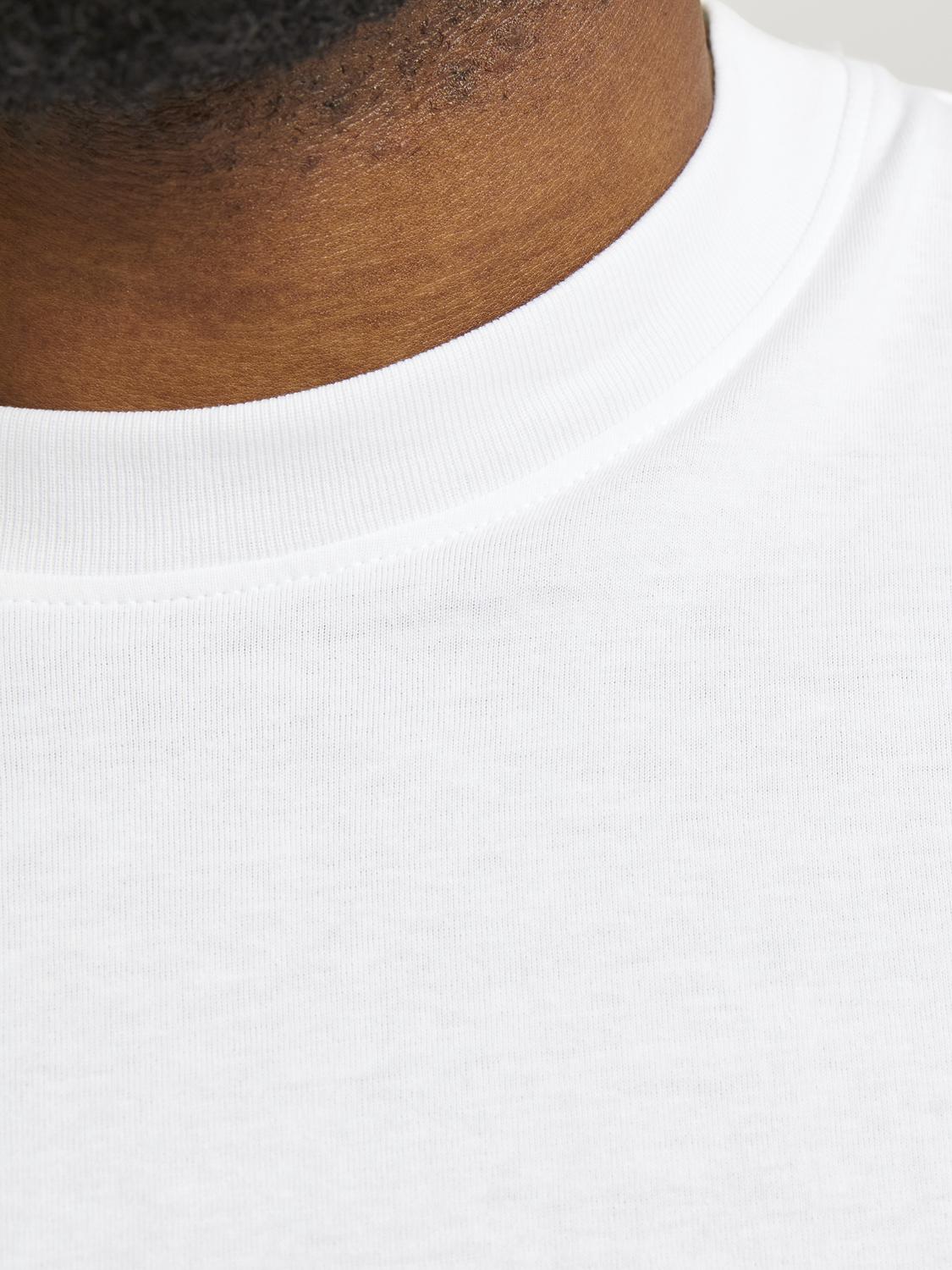 model_shot-detail