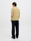 model_shot-back