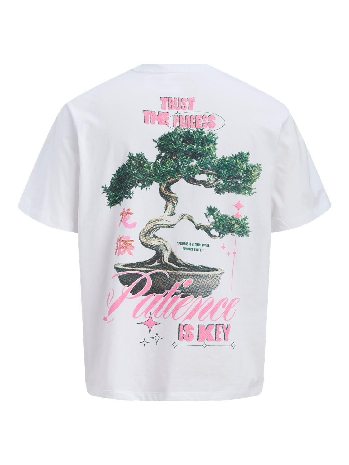 pack_shot-back