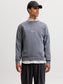 model_shot-front