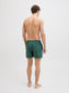 model_shot-back