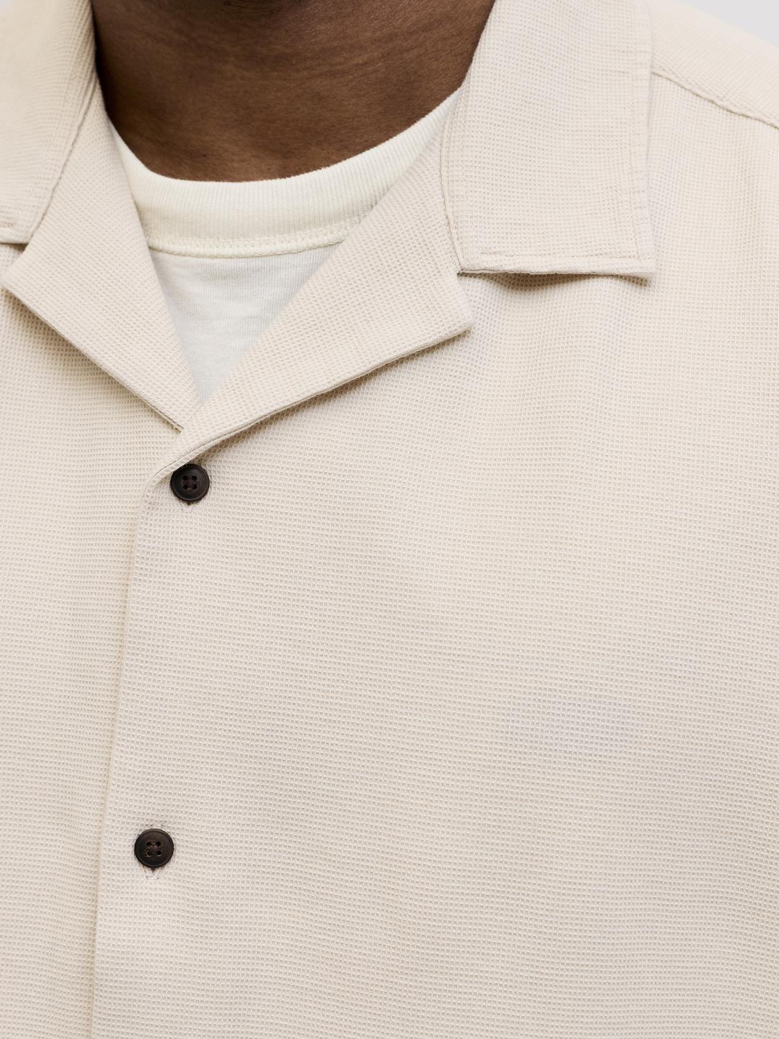 model_shot-detail