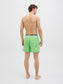 model_shot-back
