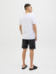 model_shot-back