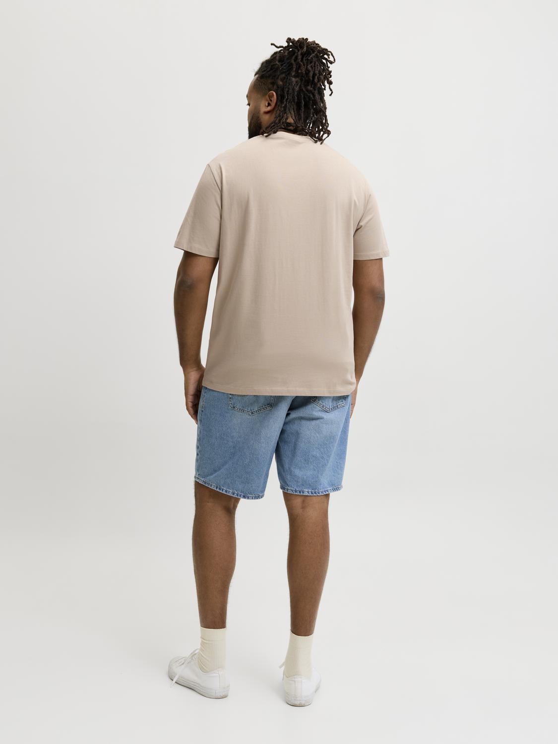 model_shot-back
