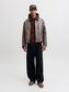 model_shot-front_full