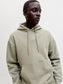 model_shot-creative