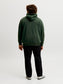 model_shot-back