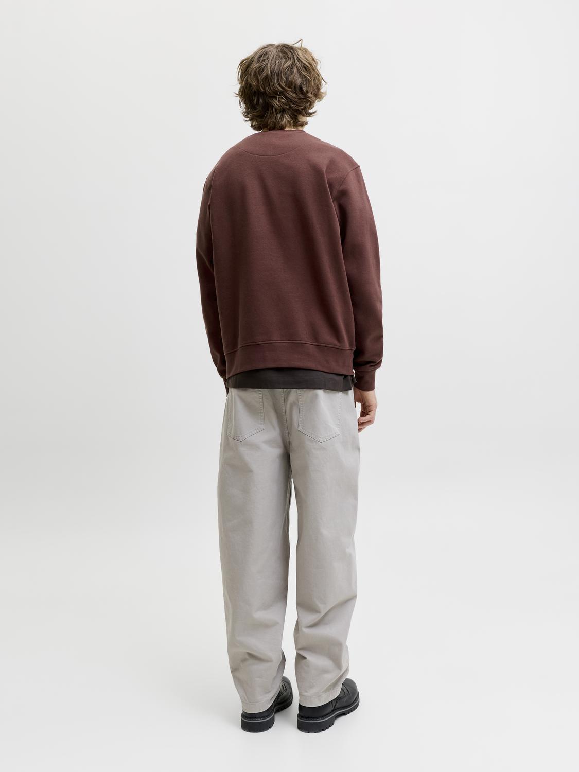 model_shot-back