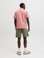 model_shot-back