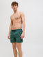 model_shot-creative