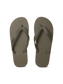JFWBASIC Flip Flop - Olive Night