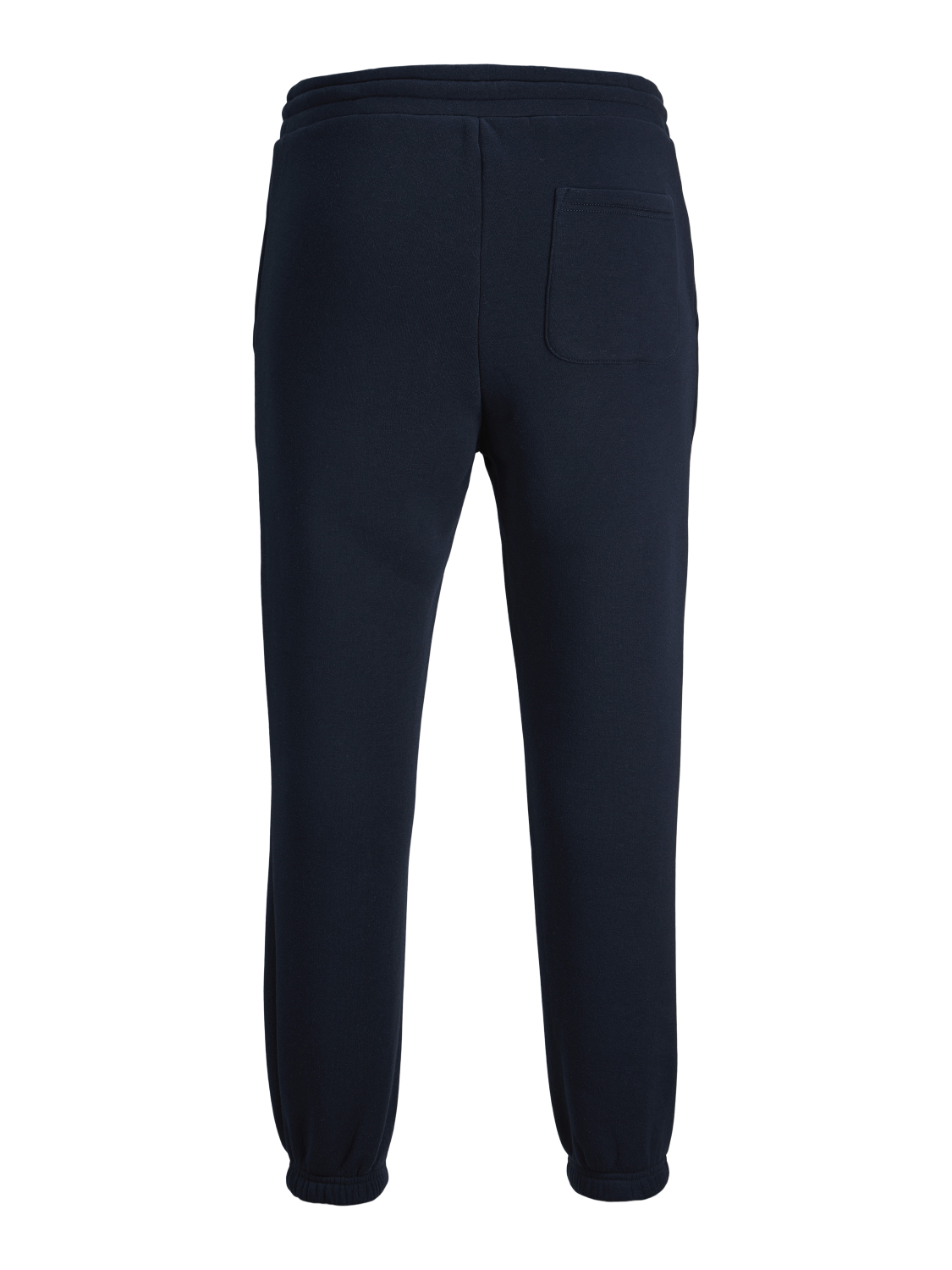 PlusSize JPSTKANE Pants - Navy Blazer