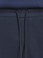 PlusSize JPSTKANE Pants - Navy Blazer