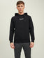 JPRBLUARCHIE Sweat - Black
