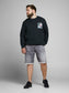 PlusSize JJIRICK Shorts - Grey Denim