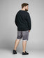 PlusSize JJIRICK Shorts - Grey Denim